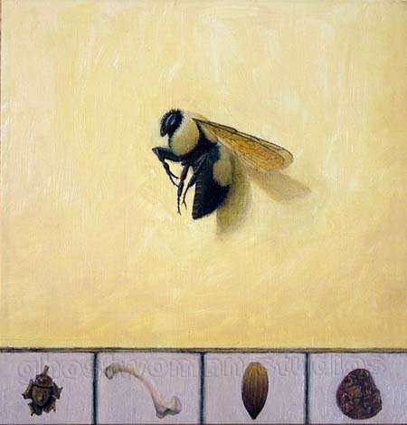 Bumble bee with various small natural objects arrayed below it.