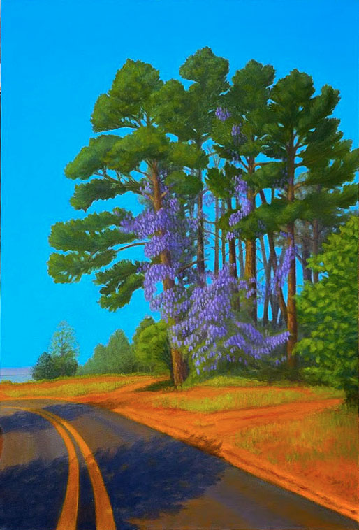 Wisteria growing up pine trees. Situated beside a curving road.